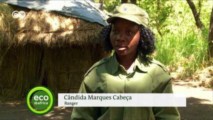 Female rangers in Gorongoza National Park | Eco-at-Africa