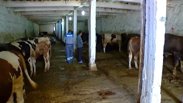 1 Tonluk 'Paşa' Otomobil Fiyatına Alıcısını Bekliyor