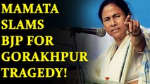 Mamata Banerjee slam BJP for Gorakhpur Tragedy despite availability of funds | Oneindia News