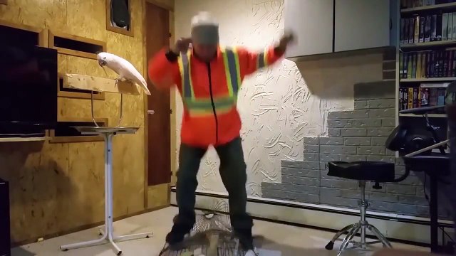 ЛУЧШИЕ ПРИКОЛЫ 2017 МАРТ Лучшая Подборка Приколов #3 Топ Самые Смешные Видео Приколы YouTube