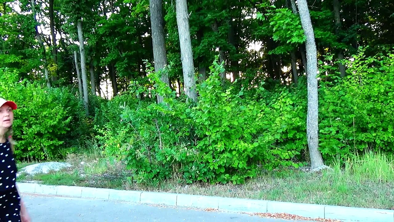 Вредные Детки превратили АРБУЗ в ГИГАНТСКИЙ ! Bad Baby Видео для Детей-YptFDXlBJx0