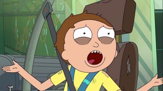 Rick and Morty Season 3 Episode 5 (s03e05) 3x05 Quality TV HD