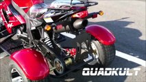 QuadKult Quad Shineray 250 CC ATV ST-3