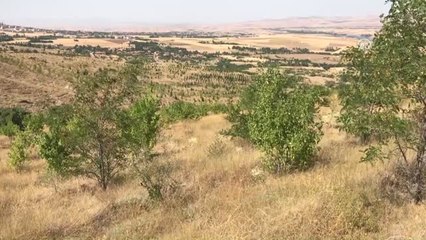 Bozkırın Dağlarında "Yeşil Vadi"Ler Kuruluyor