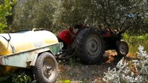 Traktör Sürücüsünü Zeytin Ağacı Kurtardı