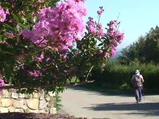 Boucle des Combes de Givors 42700 - Massif du Pilat