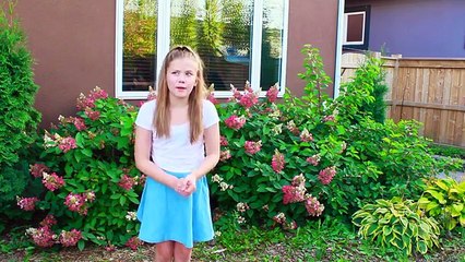 Meet Holly: Your New Favorite Companion! ✨