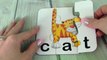 Learn To Read And Spell with 3 Letter Sight Words | ABC Letter Word Phonics