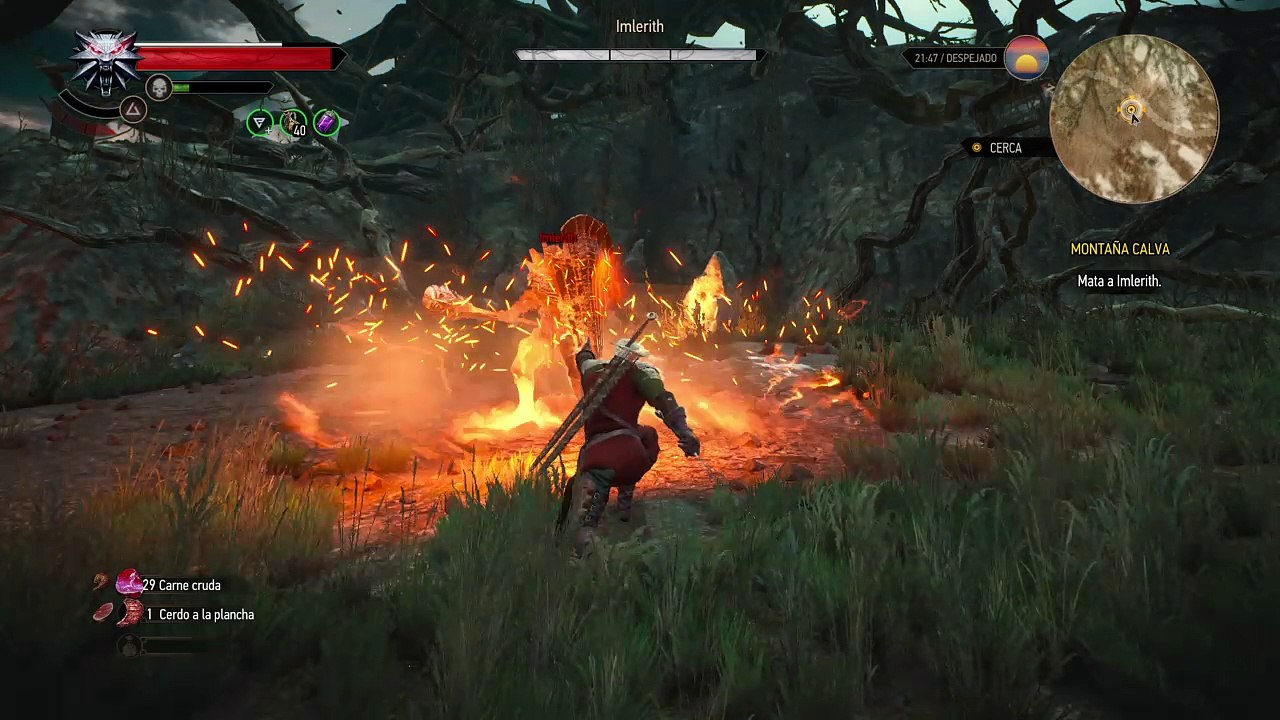 The Witcher 3: Wild Hunt_20170819114923