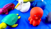 Animaux bébés Bol enfant couleur les couleurs poisson amusement amusement enfants Apprendre apprentissage Mer enseigner tout petit jouets