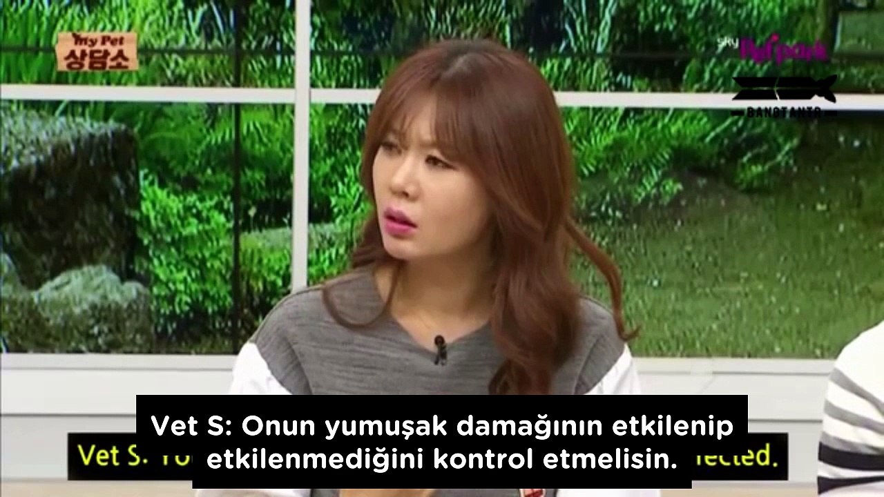 [Türkçe Altyazılı] 151111 BTS (J-Hope, Jimin, V) - My Pet Clinic Part.3