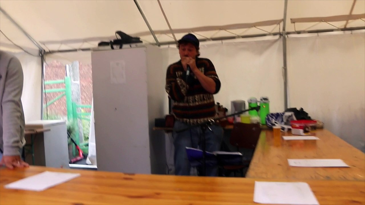 Joueur d'harmonica (France et Belgique) par francois-dupont.be