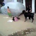 What This Bakra Is Doing Will Make You Laugh