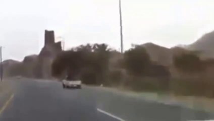 شجرة تتنقل في السعودية سبحان الله