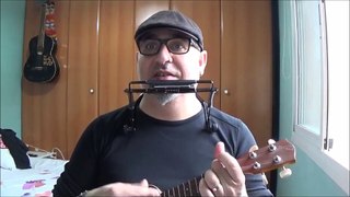 Lesson XXX BOB DYLAN Blowing in the wind Ukelele tutorial