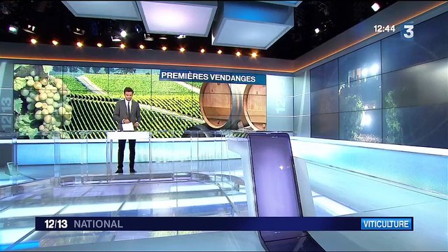 Var : premières vendanges