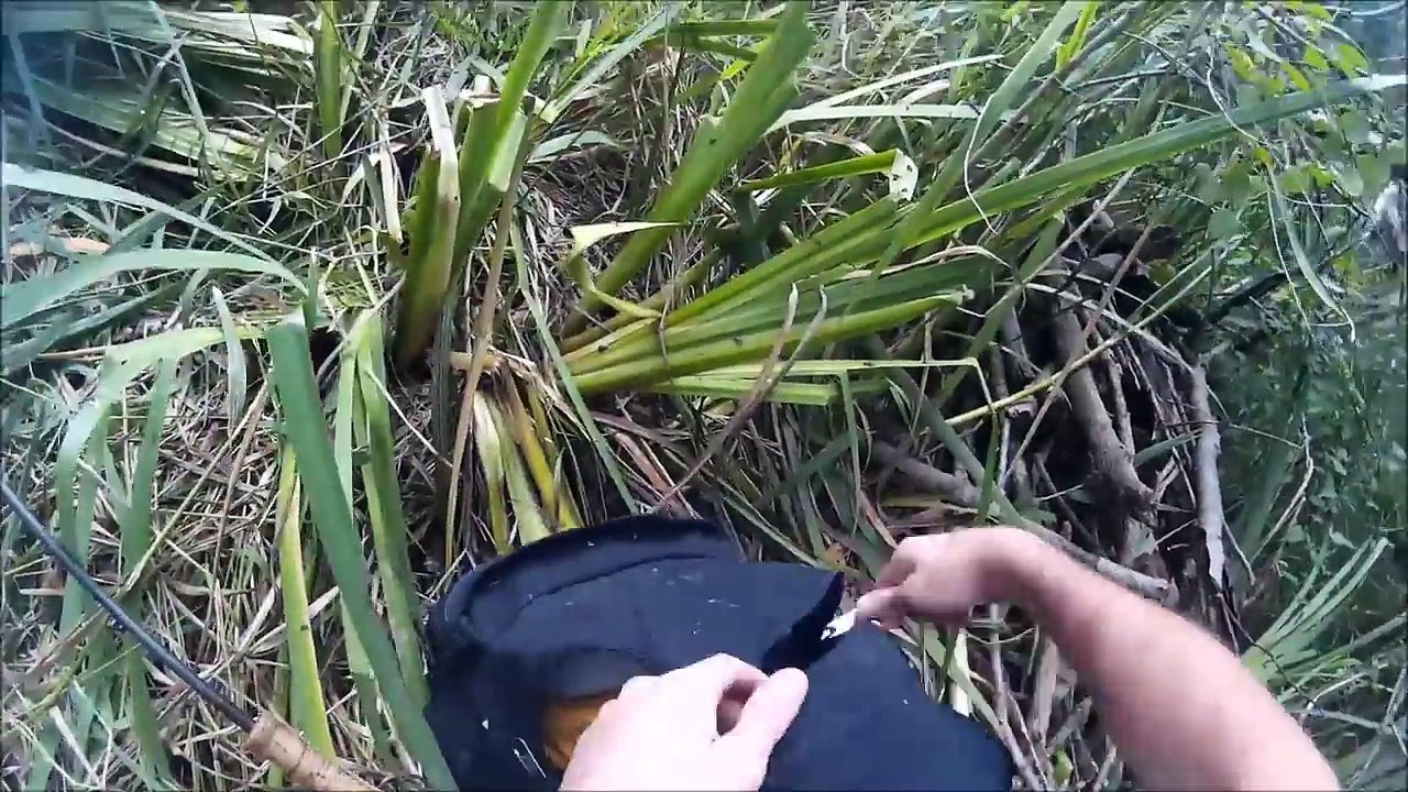 Pêche GROS brochet à VUE au vif ATTAQUE EN DIRECT PETITE RIVIERE