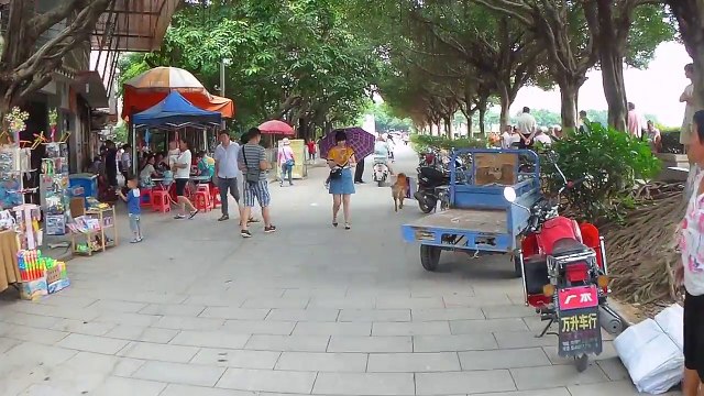 Chine : Un chien fait de la publicité pour le snack de son propriétaire !