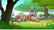 ZOO SAFARI ANIMAL TOYS/Learn Colors and names and sounds of animals/Lion,Tiger,Gorilla/kid