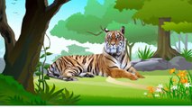 ZOO SAFARI ANIMAL TOYS/Learn Colors and names and sounds of animals/Lion,Tiger,Gorilla/kid