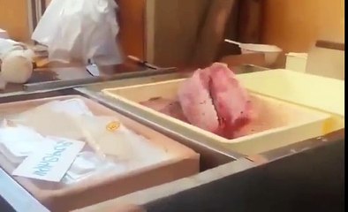 Fish process but still run up and down