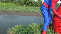 Extranjero Ordenanza huevo gigante en en bromista vida película proteger hombre araña superhéroe 