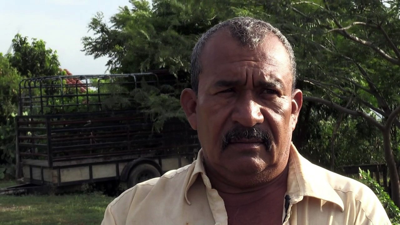 Campos eólicos levantan ráfagas de controversia en México