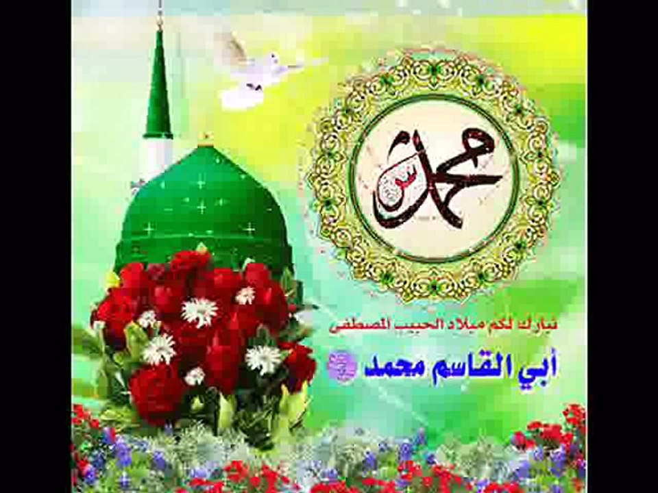 Salamullah Ali Salamullah