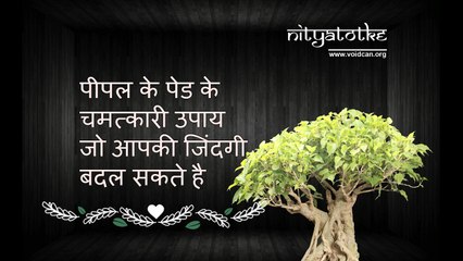 पीपल के पेड के चमत्कारी उपाय जो आपकी जिंदगी बदल सकते है