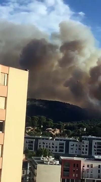 Violent feu de forêt dans le secteur d'Aubagne