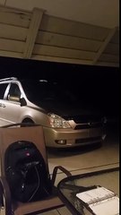 Un homme tente d'éliminer un papillon de nuit ! Fail