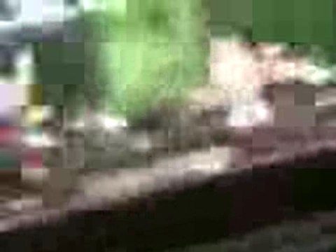 MANU CHAO arriba la luna live berlin 27 octobre 2007