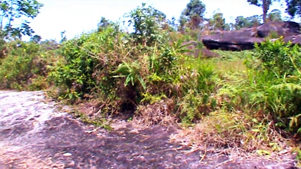 Nkauj ntsuab nraug nab li paum thiab qau pob zeb 2015 part 2