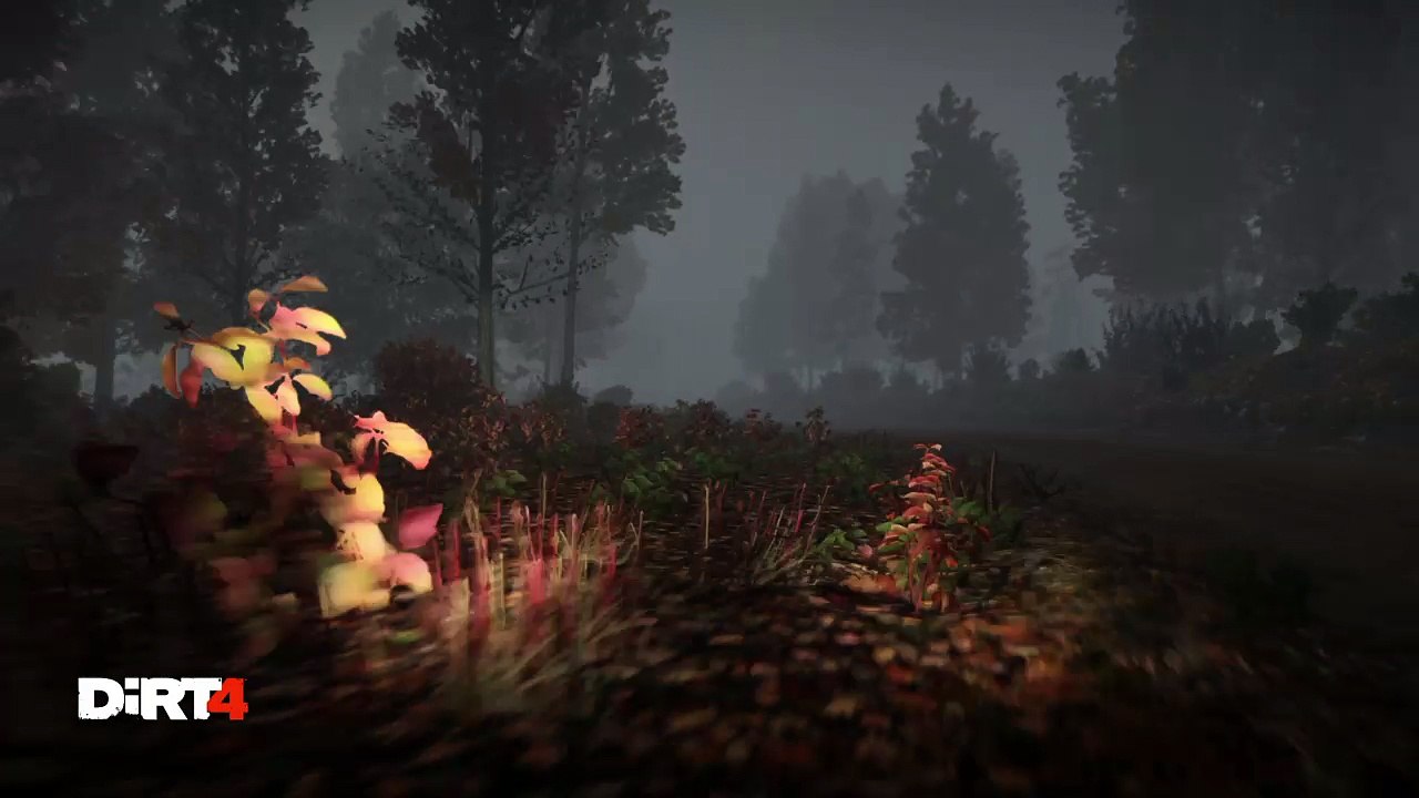 DiRT 4_nacht u nebel aktion