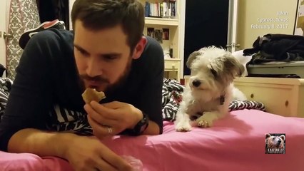 Hátha jut nekem is egy kis falatka...