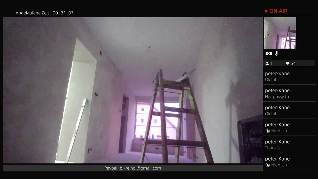 Pfusch&CO GMBH (291)