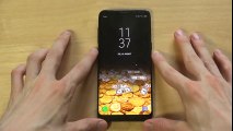 Falling Money 3D Live Wallpaper Samsung Galaxy S8 Review