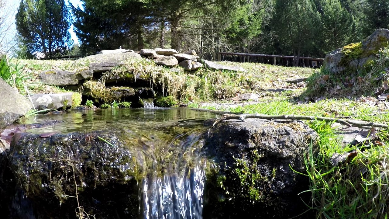 Šumava 2017