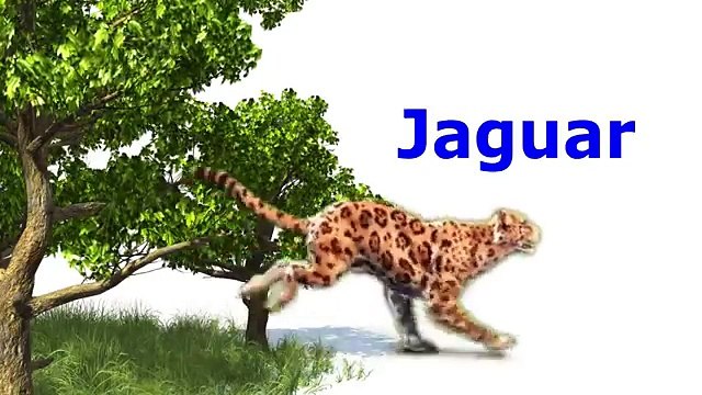 Африка и животные слон английский для Веселая в в в в Дети Дети ... обучение лев имен звуки Дикий так |