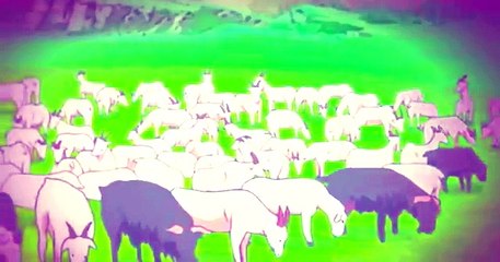 Last Exile Fam The Silver Wing 21 Grand Master