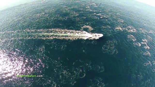Man Flies Drone Over Ocean And Captures Incredibly Rare Event - The Footage Is Incredible