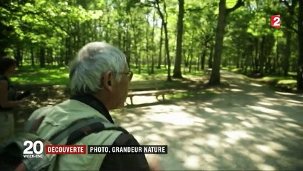 Découverte : à la rencontre d'une photographe animalière