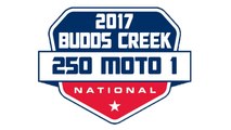 2017 Budds Creek Pro Motocross 250 Moto 1 HD