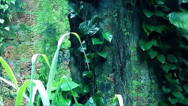 Creepy Real Ghost Sighting From An Old Building _ Real Ghost Video Caught On Tape _ Ghost Sightings