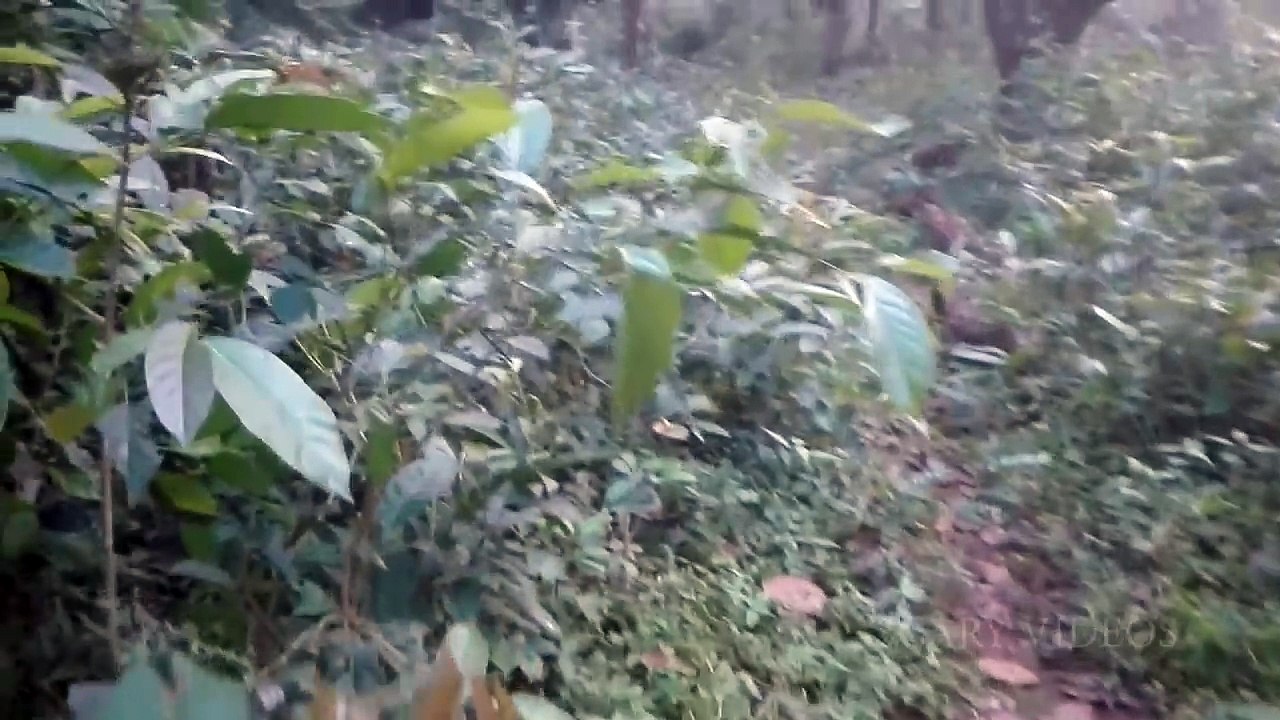 Extreme Disturbing Real DEMON Footage Caught On Tape _ Scary Videos _ Real Ghost Caught On Camera