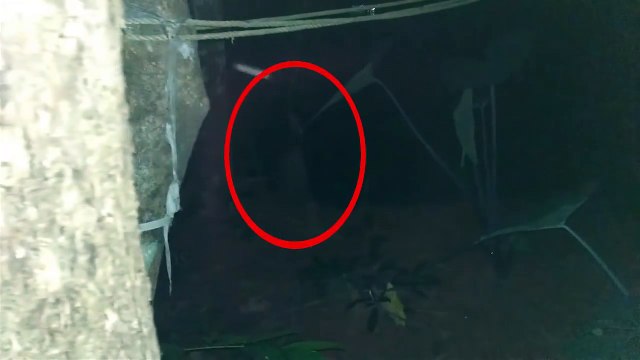 Most Haunted Forests And Woods In The World _ Top Scary Videos Of GHOSTS