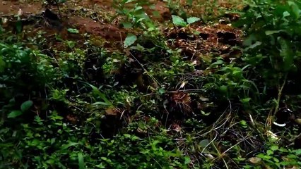 Mysterious Spirit Sightings Caught On Camera _ Real Ghost Videos