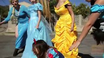 Et Aurore fête piscine Princesse avec Disney elsa rapunzel ariel tiana merida disneytoysf
