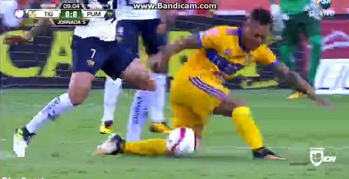 UANL Tigres vs Unam Pumas