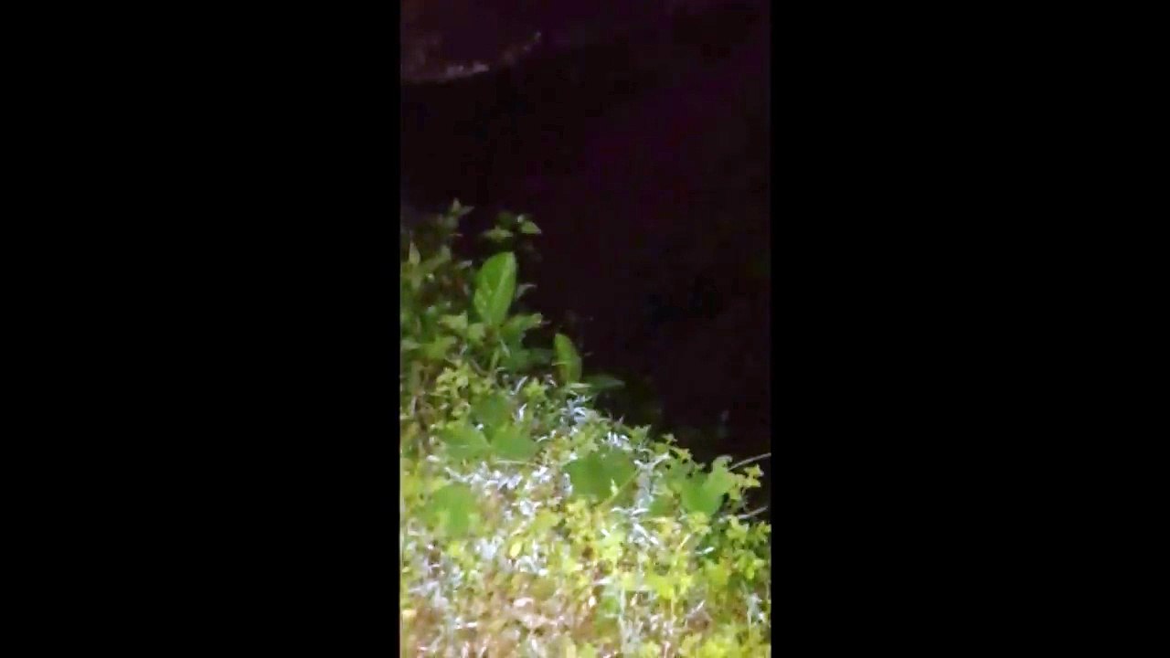 Real Ghost Hunting Gone Wrong, Ghost Presence Detected On Camera _ Scariest Ghost Sightings Ever